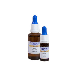 Élixir Floral du Dr Bach Noyer - Walnut - 10ml