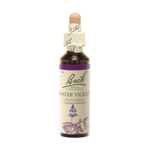 Fleurs de Bach Original 34 Water Violet (Violette d'eau) - 20ml