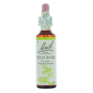 Fleurs de Bach Original 37 Wild Rose (Églantier) - 20ml