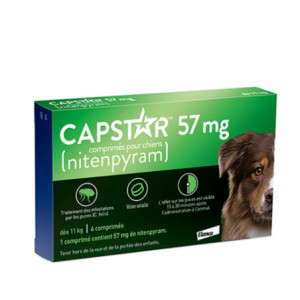 CAPSTAR Anti puces Chien de plus de 11kg - 6 comprimés