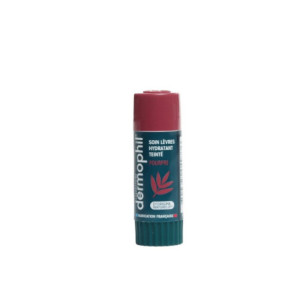 Dermophil Indien stick lèvre hydratant teinté pourpre - 4g